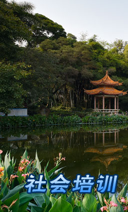 社会培训